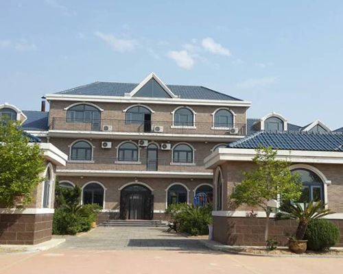 大连金普新区养老院